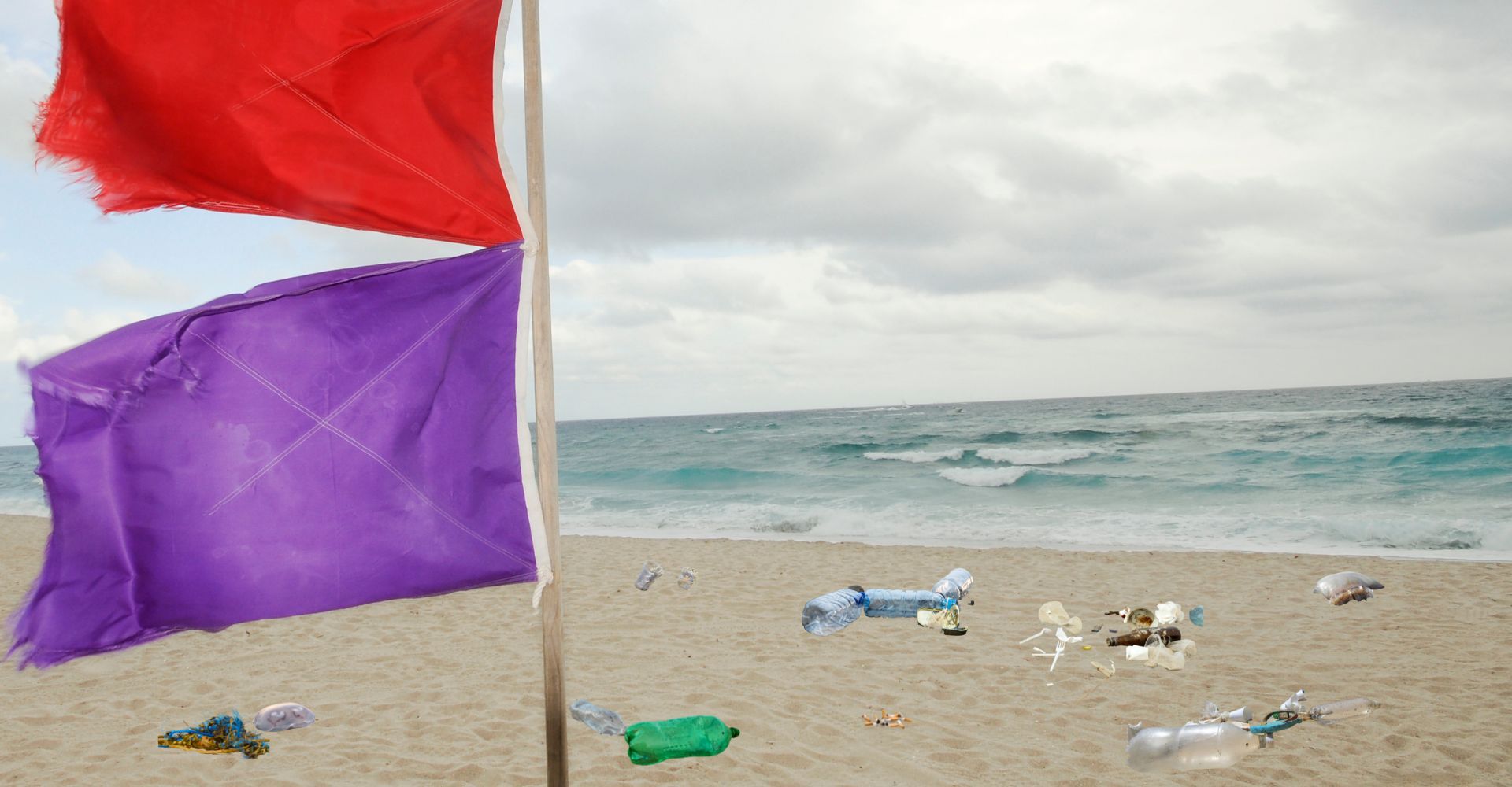 drapeau-plage-violet