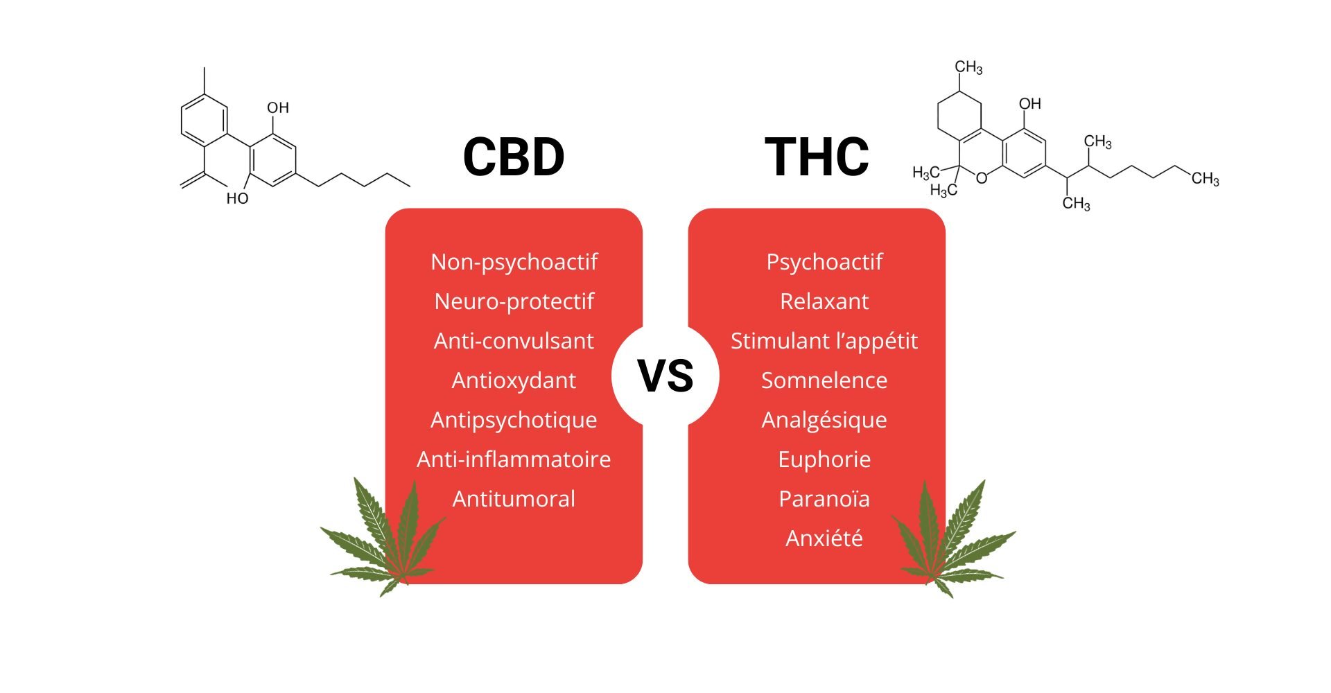 CBD-vs-THC