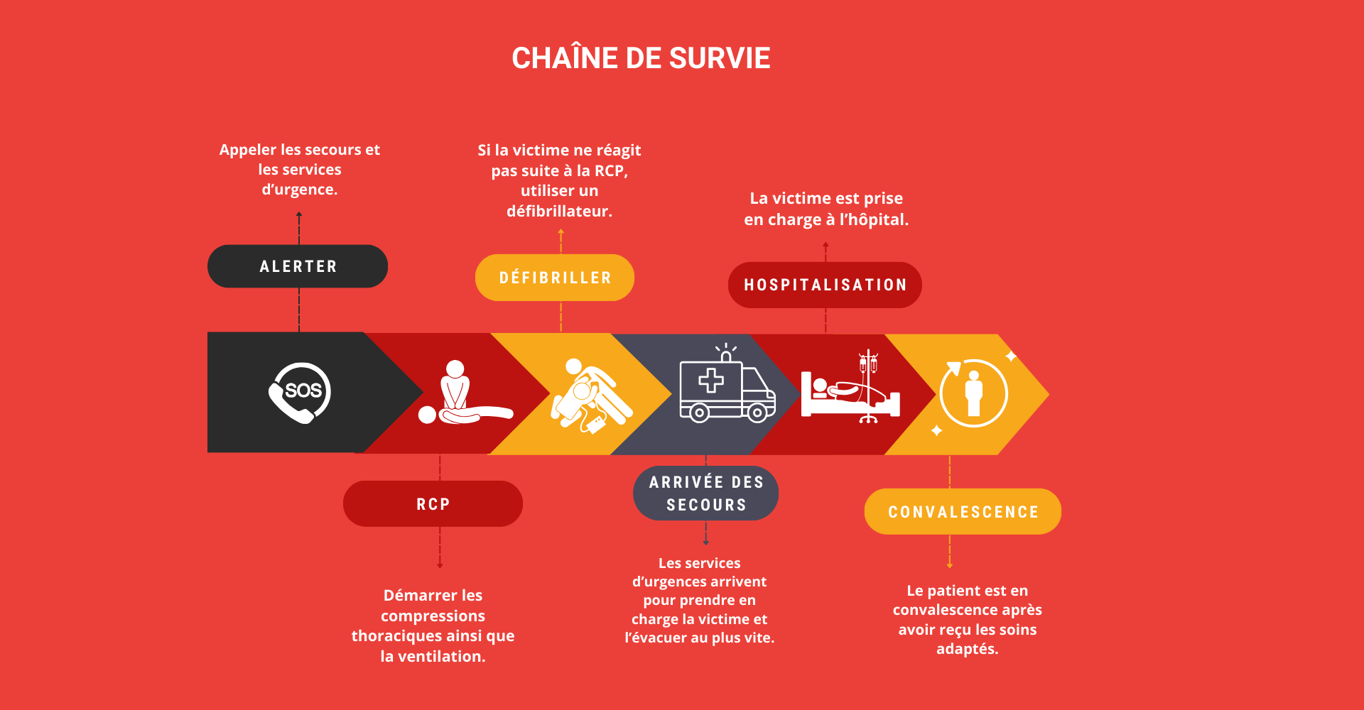 chaine-de-survie