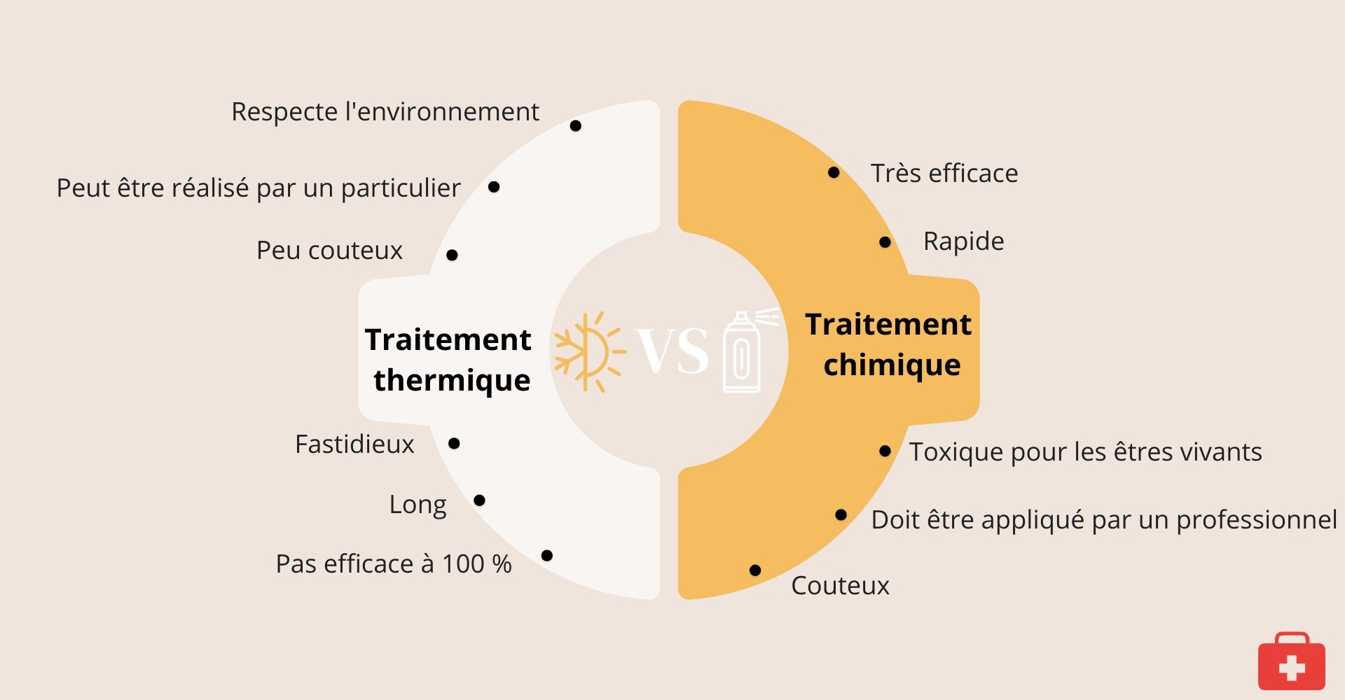 methode-tuer-punaise-de-lit