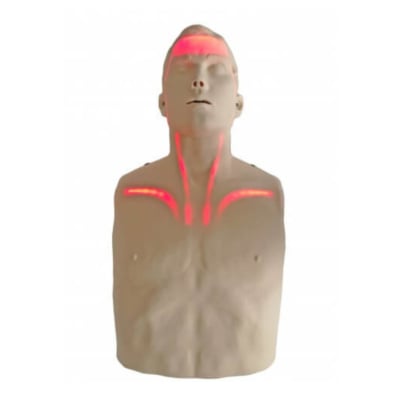 Mannequin adulte Brayden