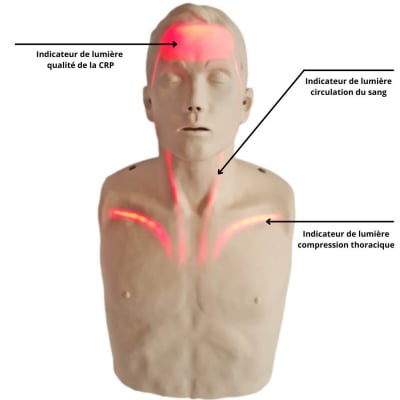 Mannequin adulte Brayden