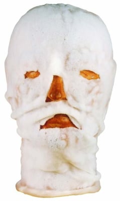 Masque facial Burnshield 20x45cm