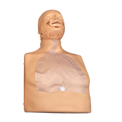 Poumons pour mannequin par 5 Practi-Man