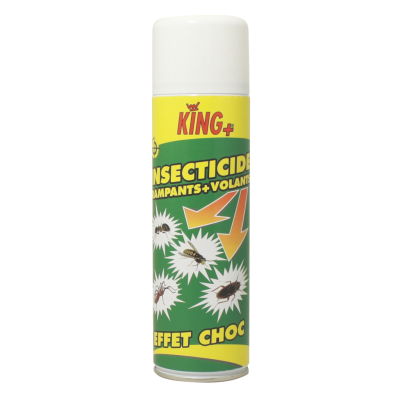 Insecticide polyvalent en bombe 500ml