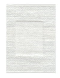 Pansement blanc 53x70 mm