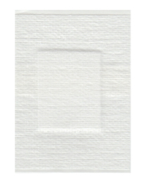 Pansement blanc 53x70 mm