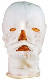 Masque Facial Burnshield 60x40cm