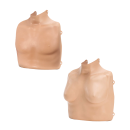 Peau de torse mannequin Practi-Man