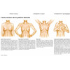 La poitrine féminine - Anatomie, pathologie et auto-examen