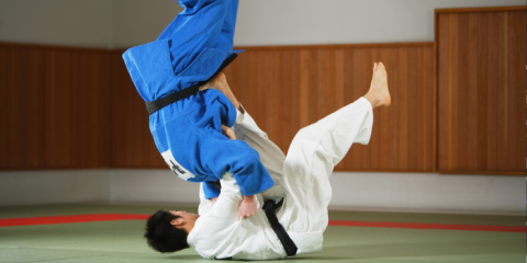 judo