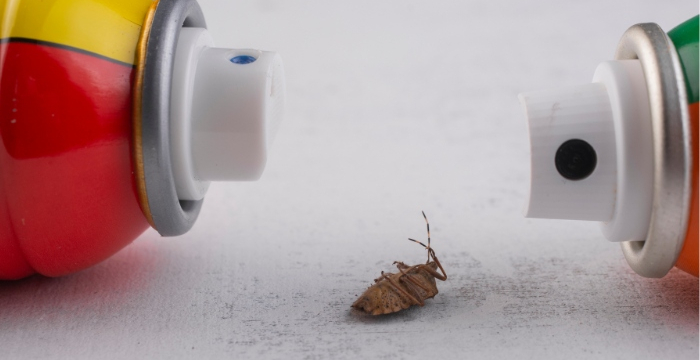 Répulsif et insecticide
