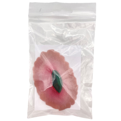 Plaie filet avec tesson