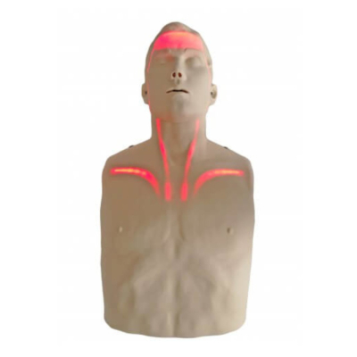 Mannequin adulte Brayden