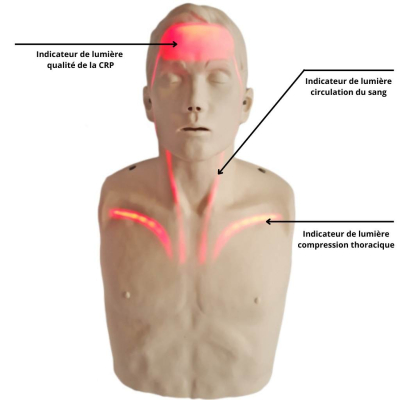Mannequin adulte Brayden