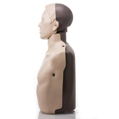 Mannequin adulte Brayden