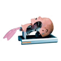 Tête d'intubation TRAINER Ambu