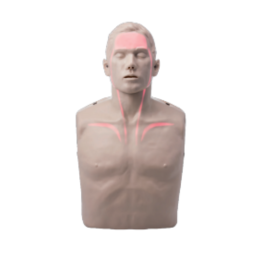 Mannequin de Formation RCP Brayden PRO Lumières Rouges