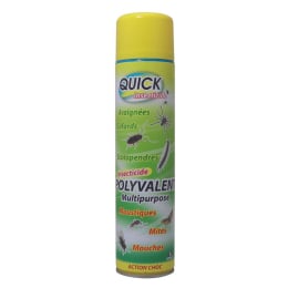 Insecticide polyvalent en bombe de 600ml